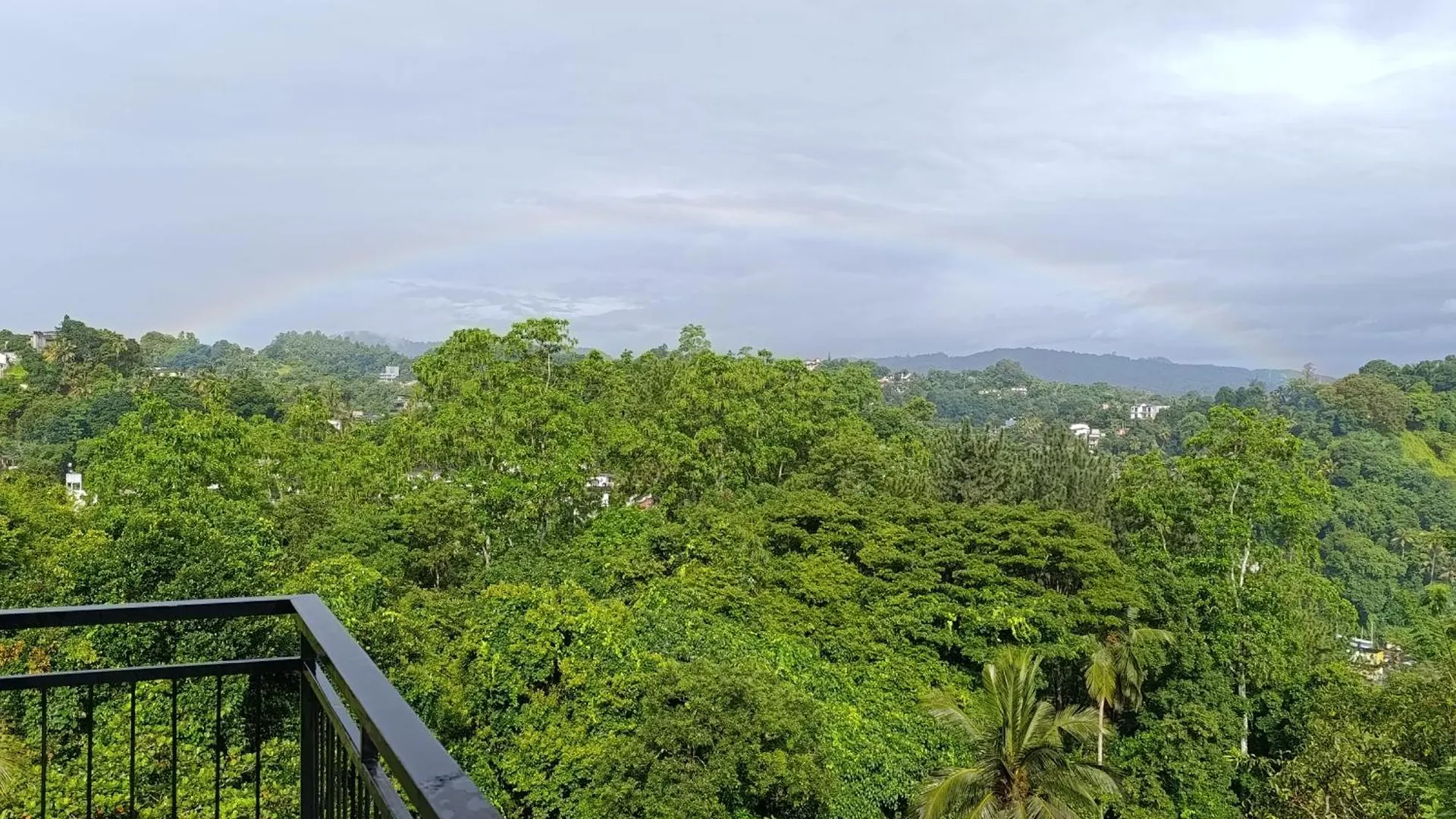 Villa Forest View - No: 50/17 Kandy Homestay