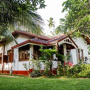 Colonial Канди