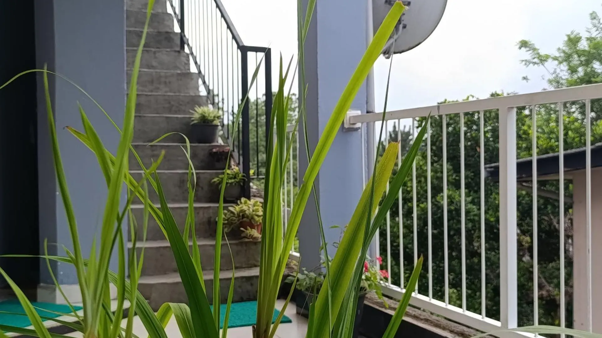 Homestay Villa Forest View - No: 50/17 Kandy