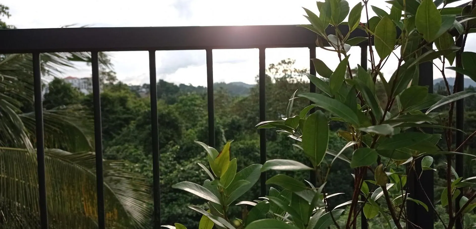 Villa Forest View - No: 50/17 Kandy Sri Lanka