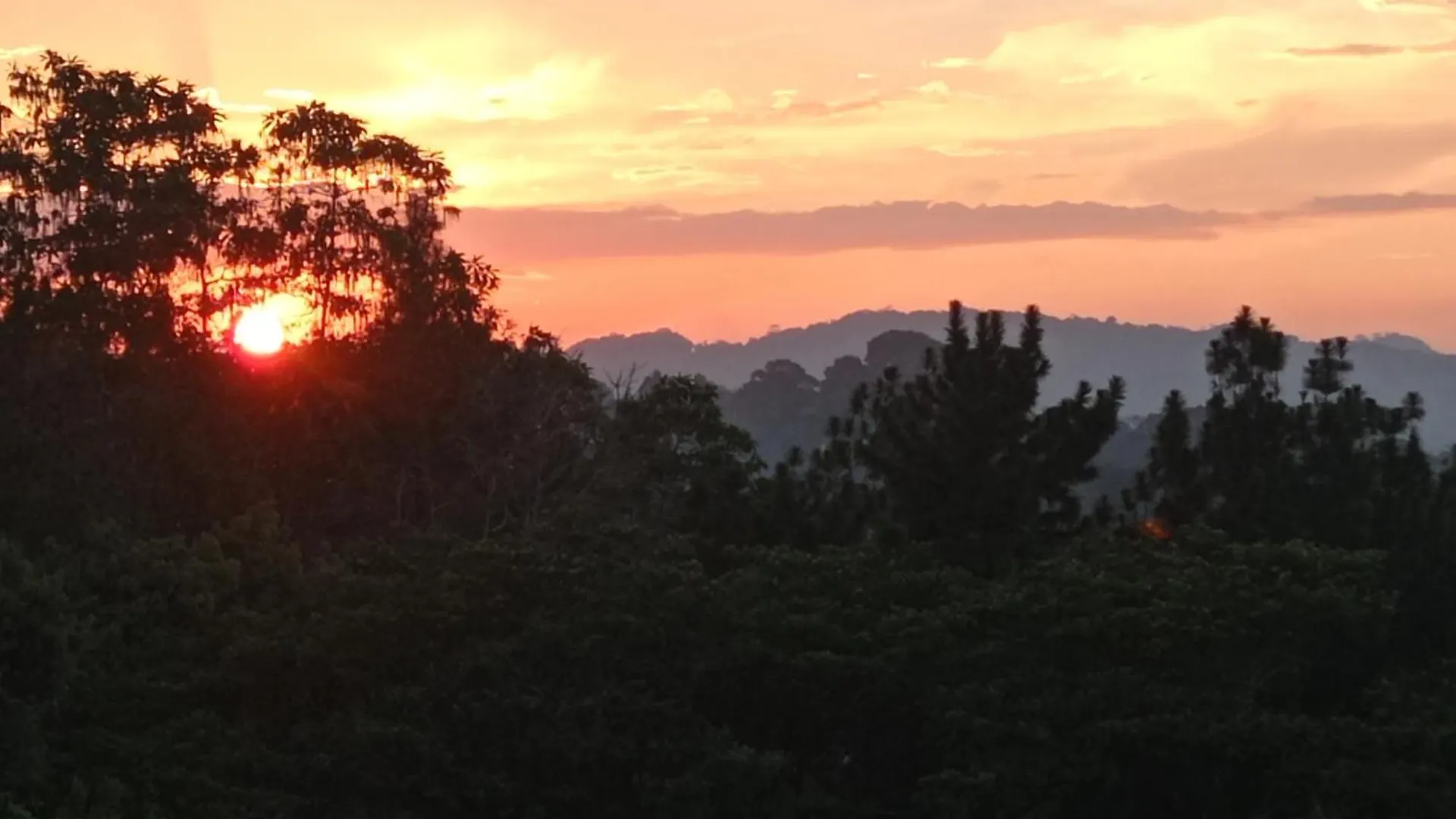 Homestay Villa Forest View - No: 50/17 Kandy