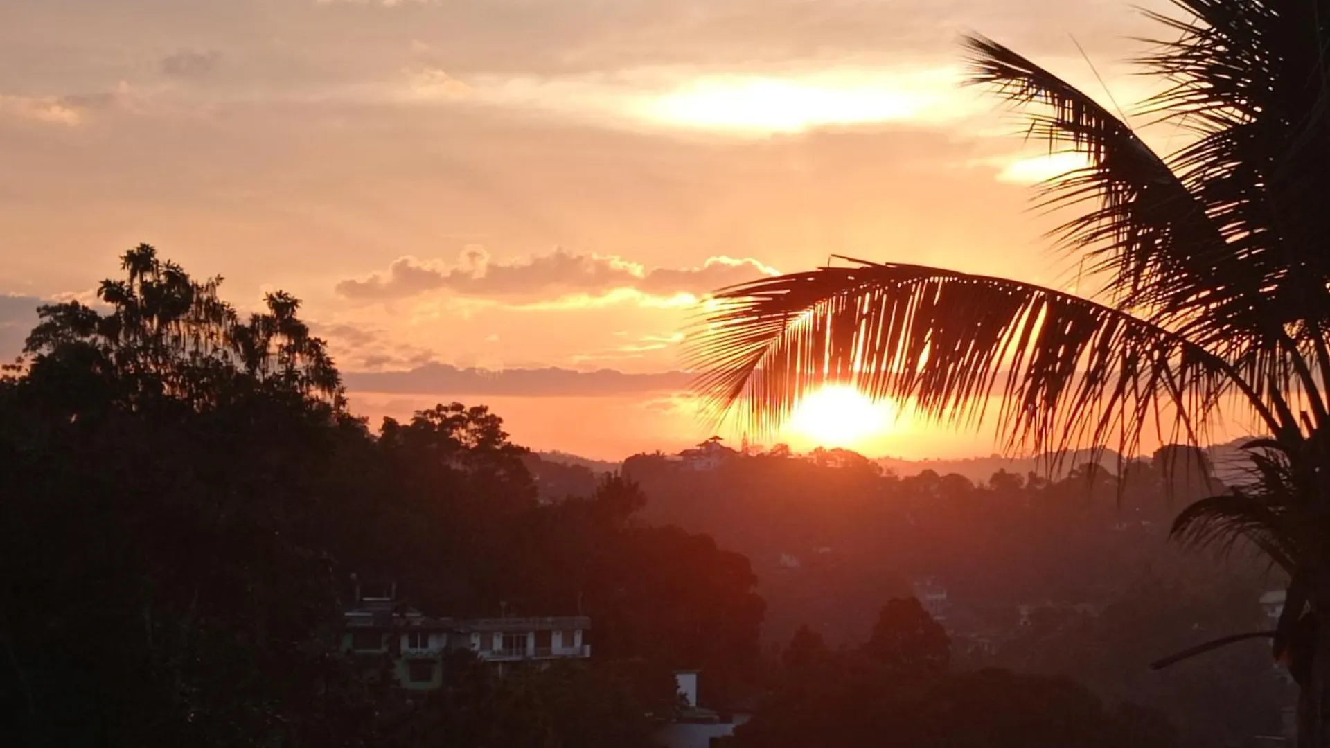 Villa Forest View - No: 50/17 Kandy Homestay