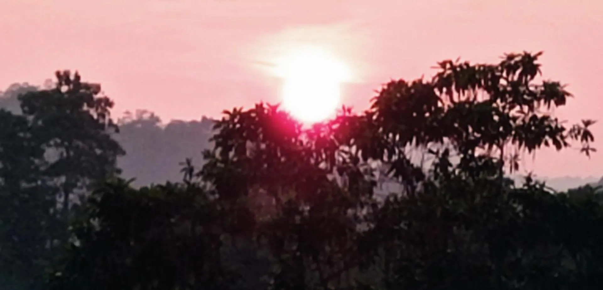 Villa Forest View - No: 50/17 Kandy Homestay