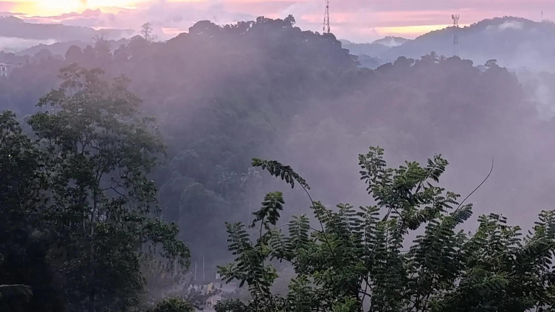 Homestay Villa Forest View - No: 50/17 Kandy